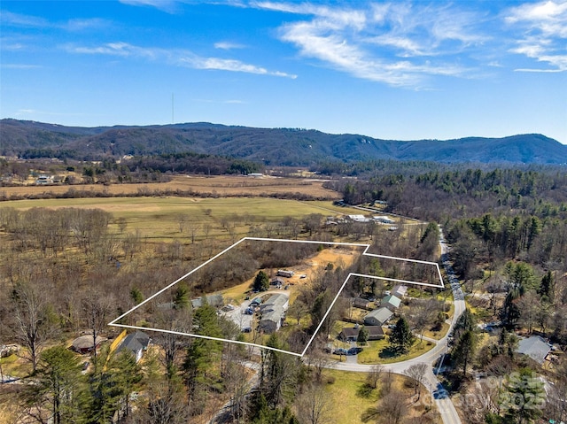 drone / aerial view with a mountain view