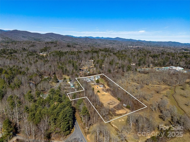 birds eye view of property with a mountain view and a wooded view