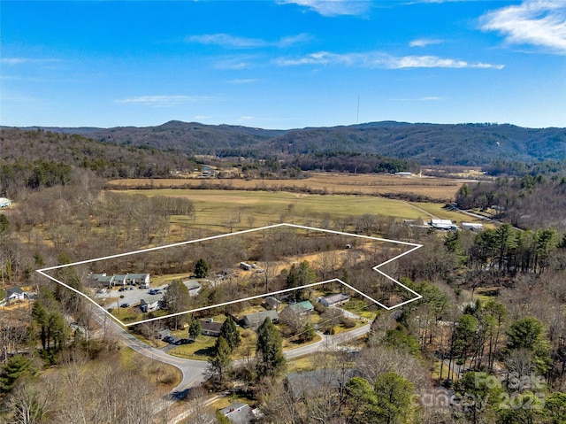 aerial view with a mountain view and a rural view