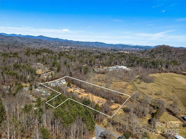 bird's eye view featuring a mountain view and a view of trees