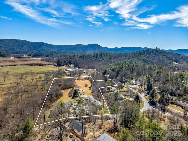 birds eye view of property with a forest view and a mountain view