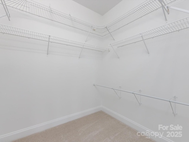 spacious closet with light carpet