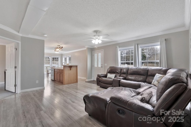 living area featuring a textured ceiling, baseboards, light wood-style flooring, and crown molding