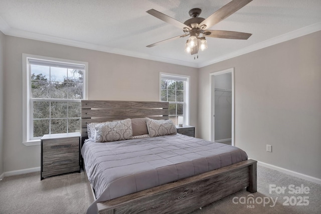 bedroom with baseboards, ornamental molding, a closet, carpet, and a walk in closet