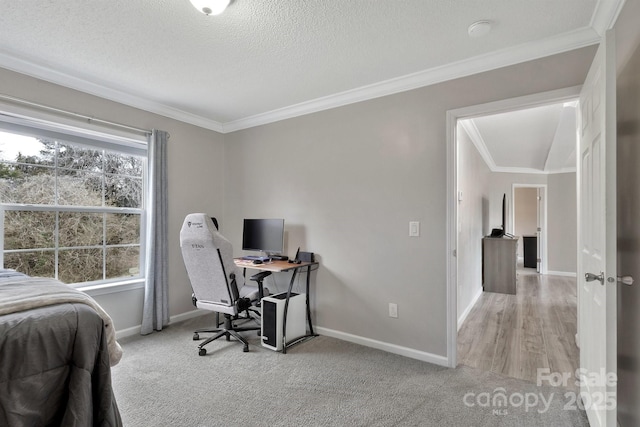 office featuring ornamental molding, carpet flooring, a textured ceiling, and baseboards