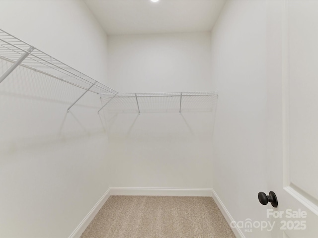 walk in closet with light carpet
