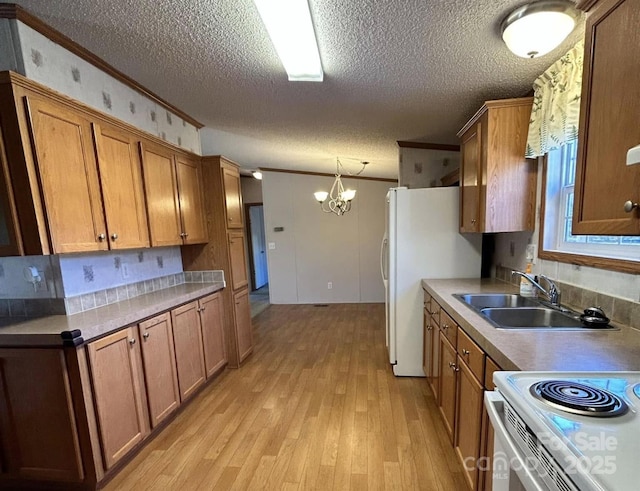 kitchen with light wood finished floors, white appliances, brown cabinetry, crown molding, and a sink