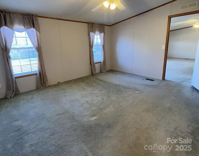 unfurnished bedroom with ornamental molding, multiple windows, carpet, and visible vents