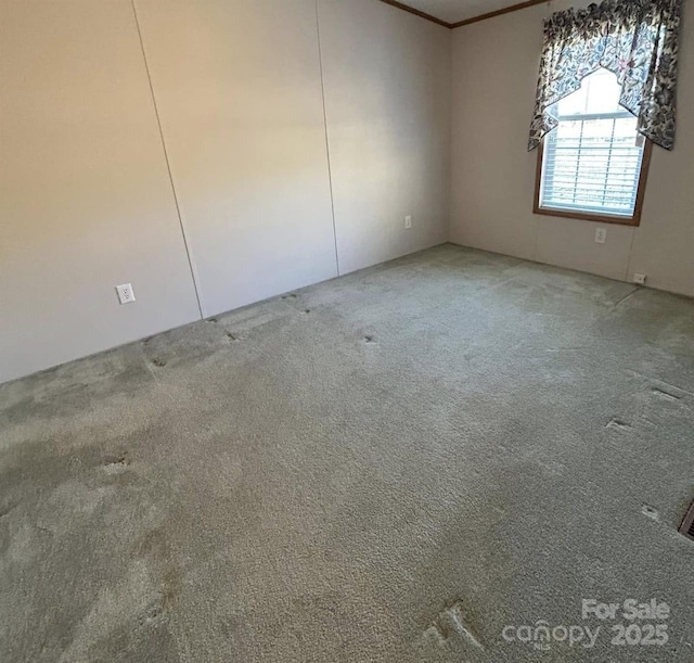 empty room featuring carpet floors and ornamental molding