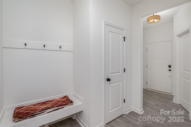 mudroom featuring wood finished floors