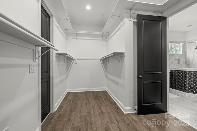 spacious closet featuring wood finished floors