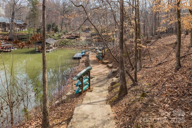 exterior space with a dock and a water view