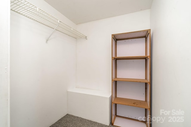 walk in closet featuring carpet flooring