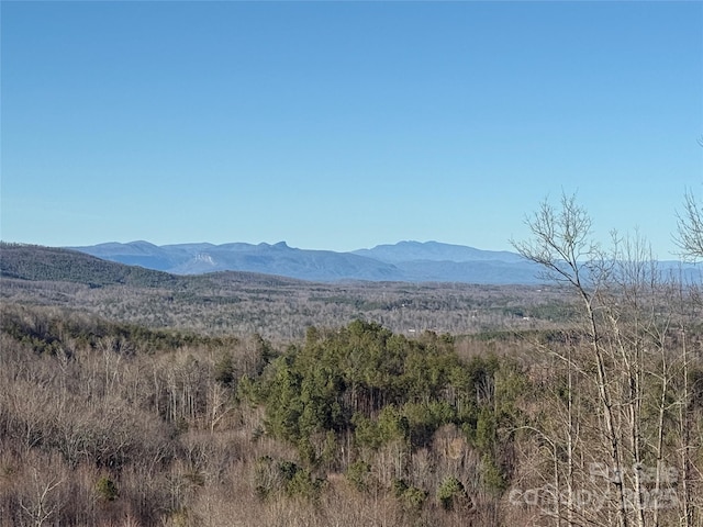 view of mountain feature