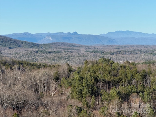 mountain view with a view of trees