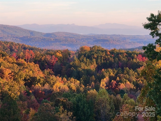 mountain view featuring a forest view