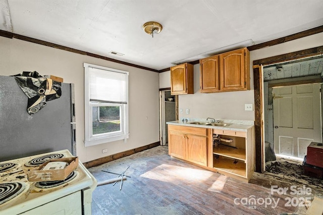 kitchen with visible vents, ornamental molding, freestanding refrigerator, a sink, and baseboards