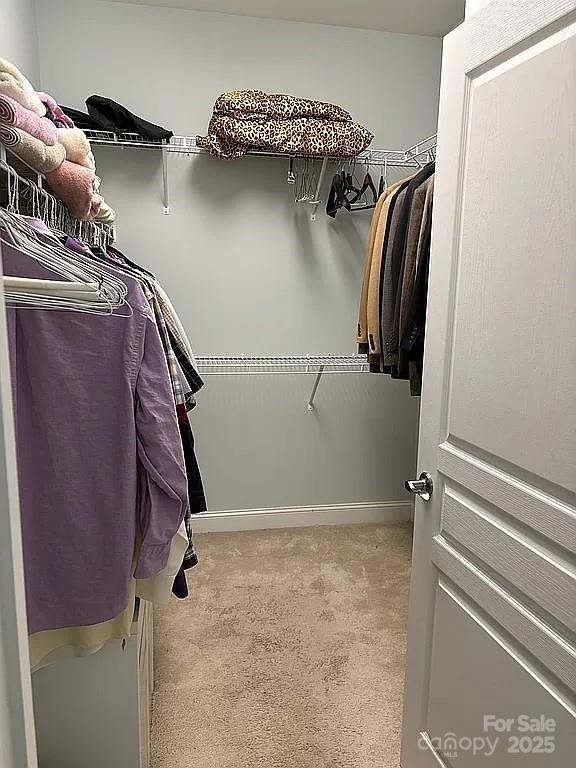 walk in closet with carpet