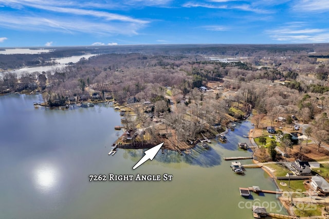 bird's eye view with a water view and a view of trees