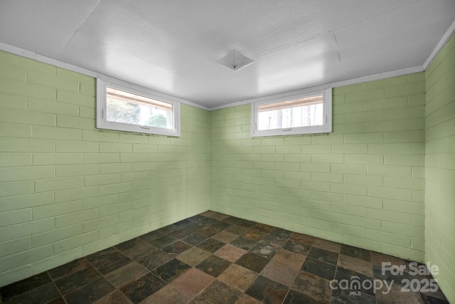 basement featuring stone finish flooring and a wealth of natural light