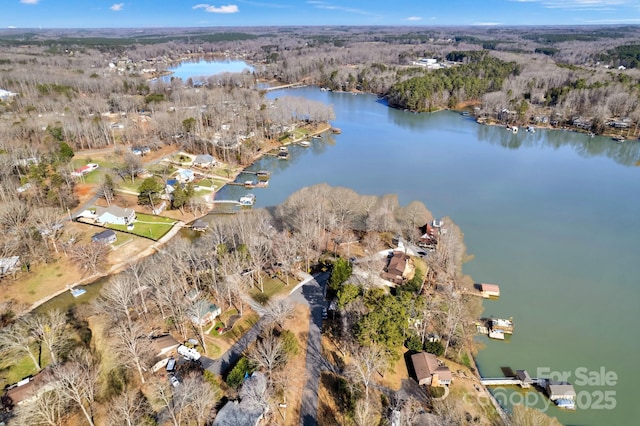 drone / aerial view with a water view and a forest view