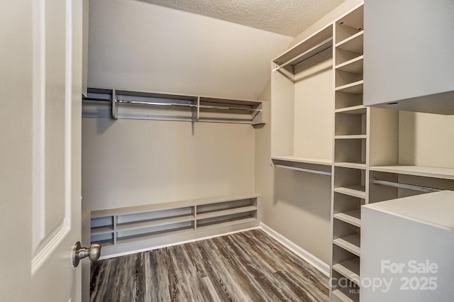 spacious closet featuring wood finished floors