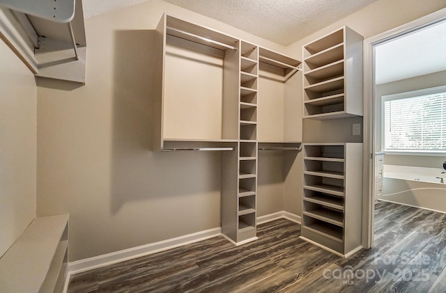 spacious closet featuring dark wood-style floors