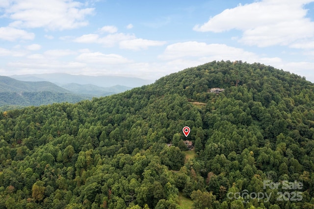 property view of mountains with a view of trees