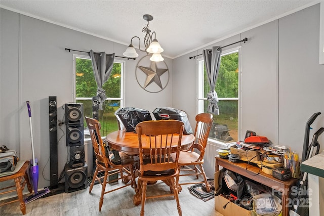 dining area featuring a textured ceiling, ornamental molding, wood finished floors, and a wealth of natural light