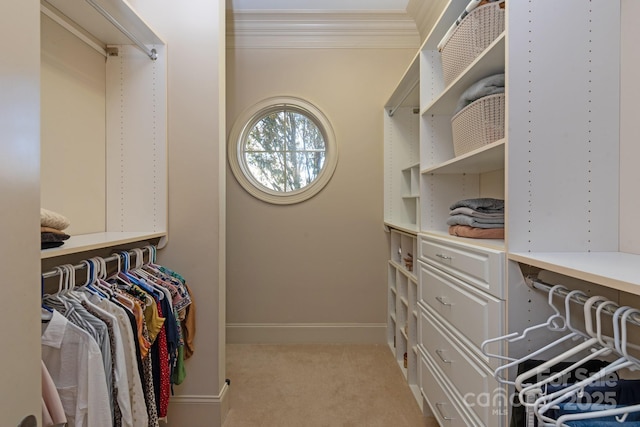 walk in closet featuring light colored carpet