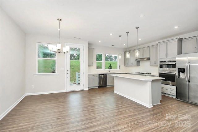 kitchen with under cabinet range hood, gray cabinetry, wood finished floors, light countertops, and appliances with stainless steel finishes