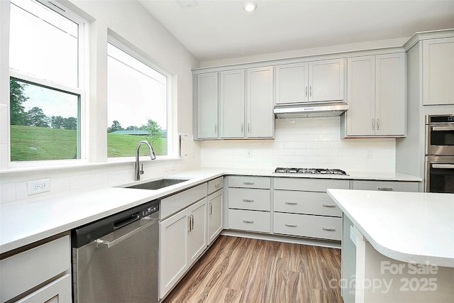 kitchen featuring gray cabinets, stainless steel appliances, light countertops, under cabinet range hood, and a sink