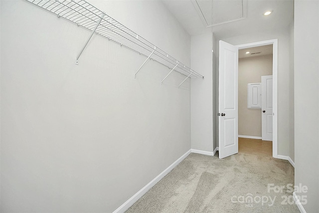 walk in closet featuring light carpet and attic access