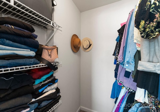 view of walk in closet