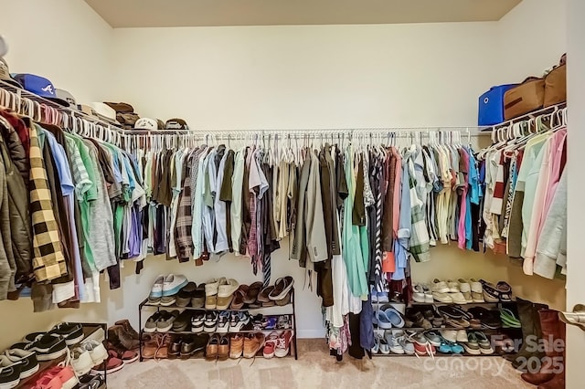 spacious closet featuring carpet floors