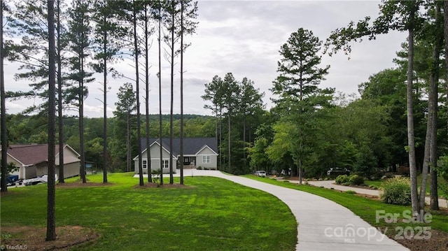 view of home's community featuring driveway, a view of trees, and a yard