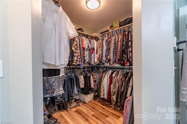 spacious closet with wood finished floors