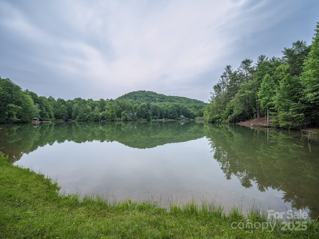 property view of water featuring a forest view