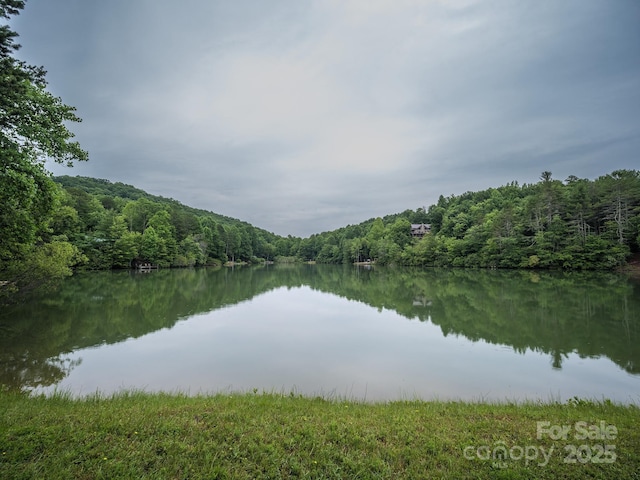 water view with a wooded view