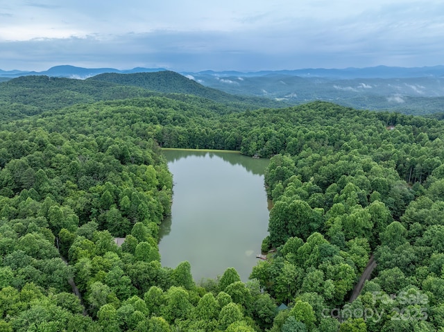 drone / aerial view with a wooded view and a water and mountain view