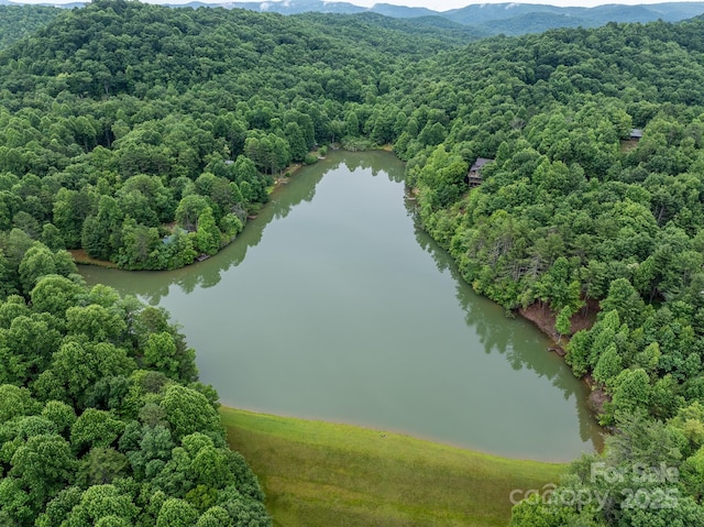 bird's eye view featuring a view of trees and a water and mountain view