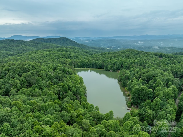 bird's eye view featuring a forest view and a water and mountain view