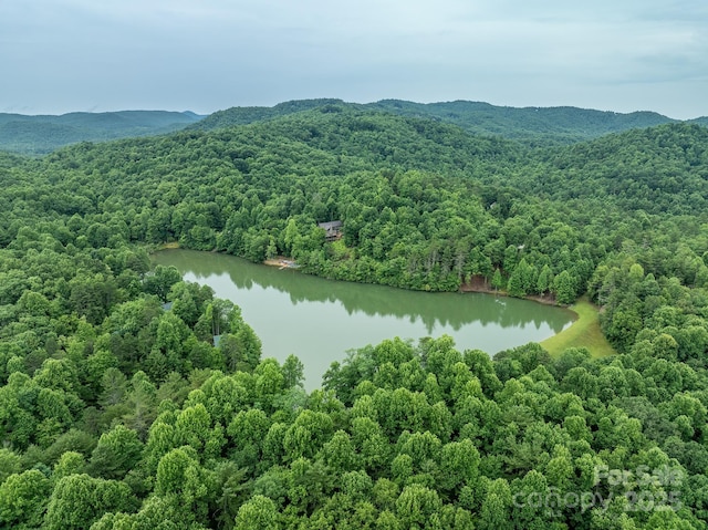 birds eye view of property with a view of trees and a water and mountain view