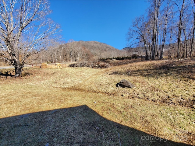 Listing photo 2 for 1436 Blevins Branch Rd, Bakersville NC 28705