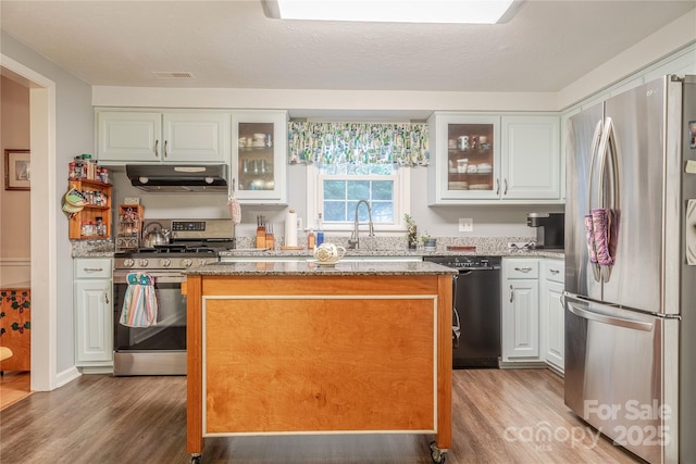 kitchen with under cabinet range hood, light wood finished floors, appliances with stainless steel finishes, and a kitchen island