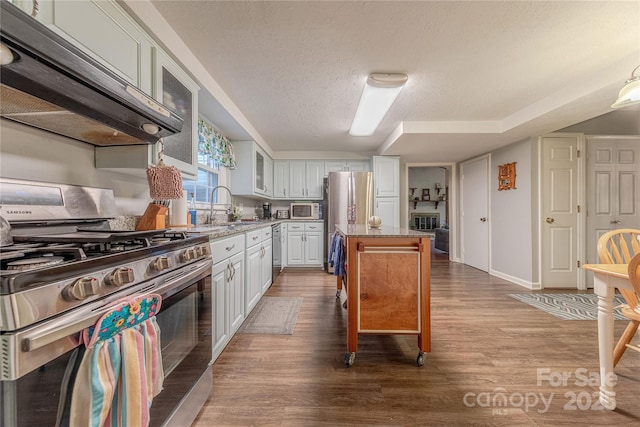 kitchen featuring white cabinets, dark wood-style flooring, under cabinet range hood, and stainless steel appliances