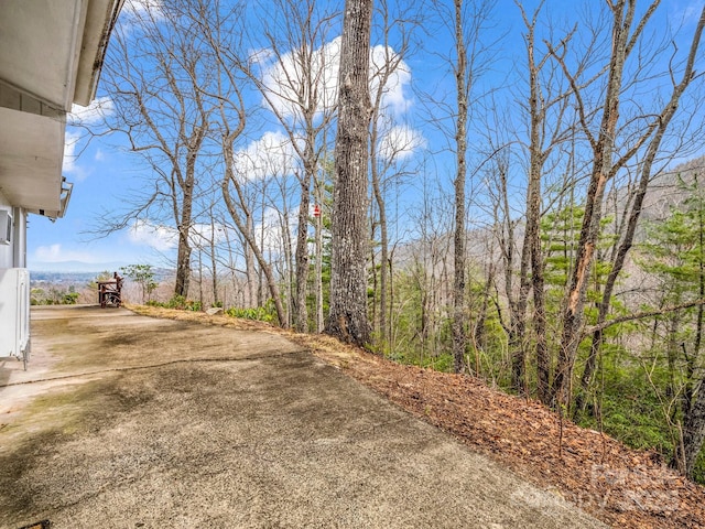 675 Foster Hill Dr, Hendersonville, NC 28739 - view of yard with a forest view