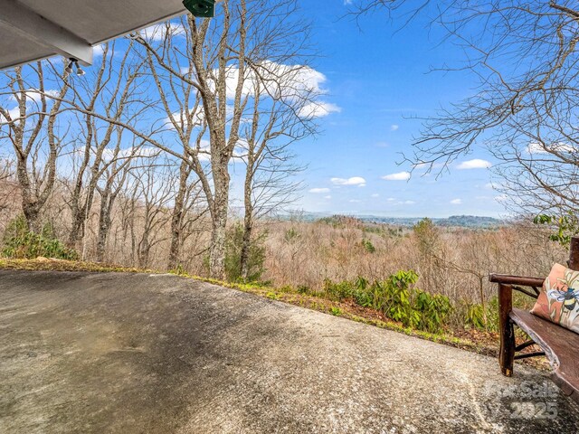 675 Foster Hill Dr, Hendersonville, NC 28739 - view of yard
