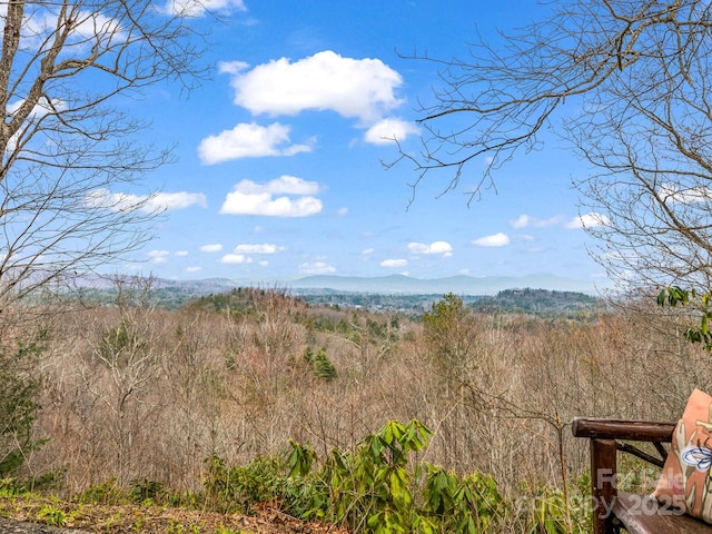 675 Foster Hill Dr, Hendersonville, NC 28739 - property view of mountains
