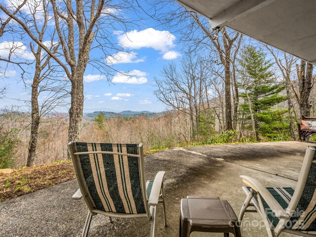 675 Foster Hill Dr, Hendersonville, NC 28739 - view of patio featuring a view of trees